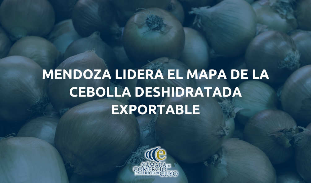 cebolla deshidratada mendocina