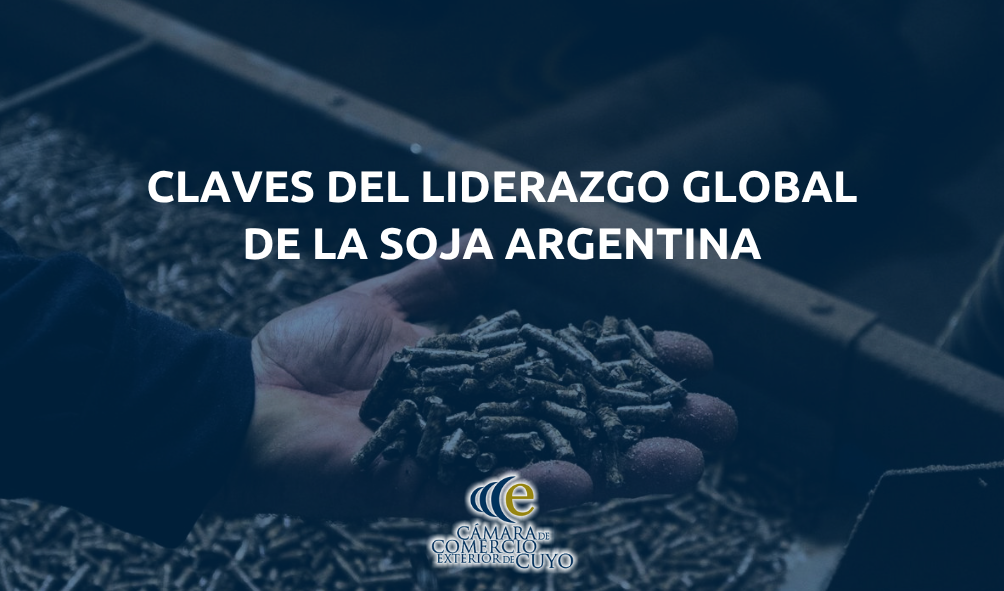 exportación pellets de soja argentina